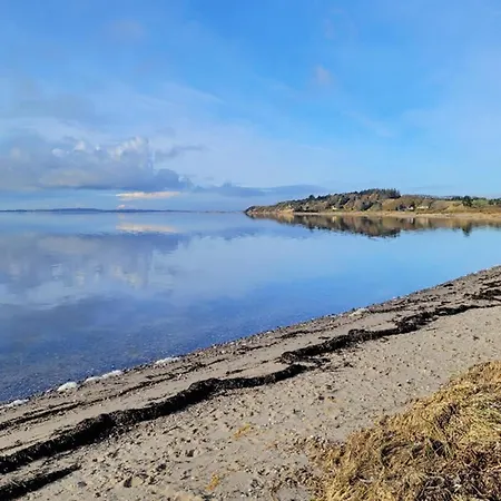 Pet Friendly In With House A Panoramic View *